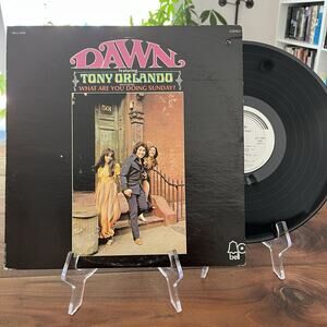 Dawn Featuring Tony Orlando What Are You Doing Sunday Vinyl LP 1971 Bell 6069